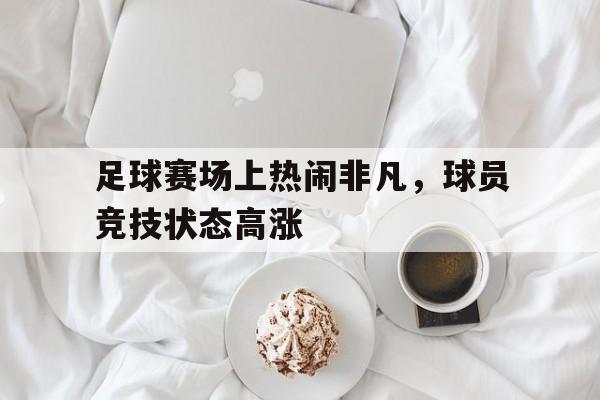 足球赛场上热闹非凡,球员竞技状态高涨的简单介绍